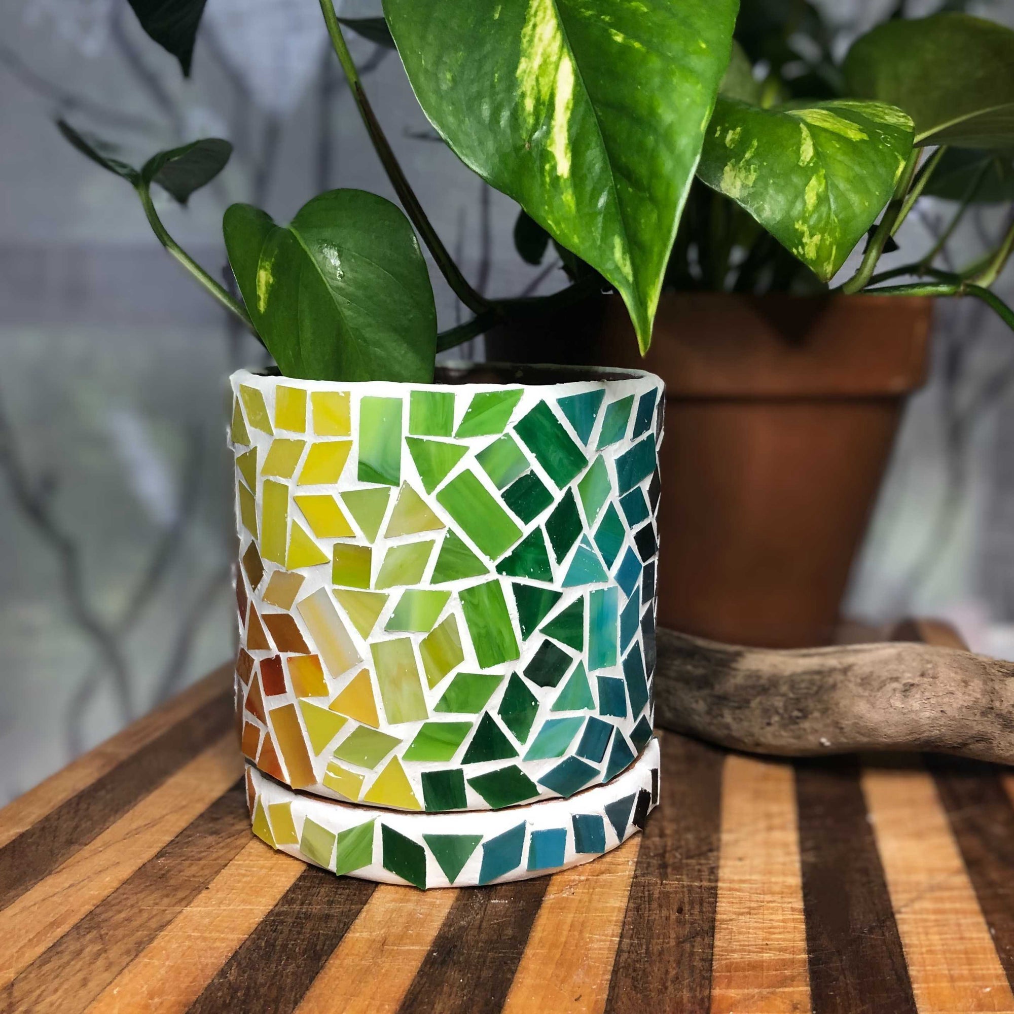 Mosaic Flower Pots